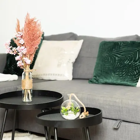 Apartment T2 Hypercentre , Parking Prive -vida Loc